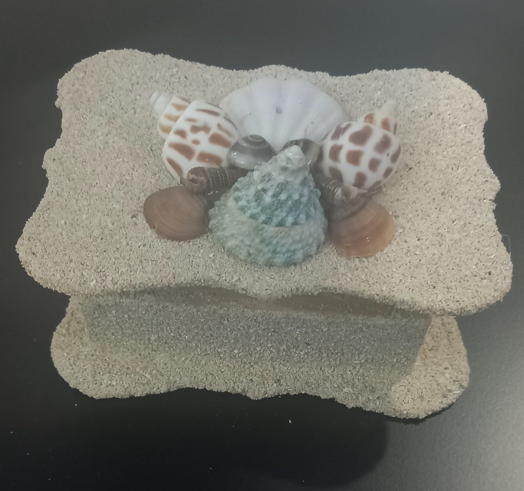 Beach treasure box